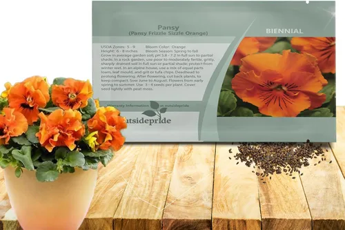 Outsidepride Frizzle Sizzle - Semillas de pensamiento de viola naranja para plantar, 50 unidades. Flores bienales, resistentes al frío y aptas para