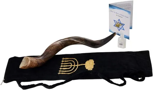 Miniatura 3 de Auténtico shofar yemenita Kudu – Sonido Resonante Profundo (30"-32") – Juego completo con bolsa de menorá, guía y caja de transporte – Hecho a mano