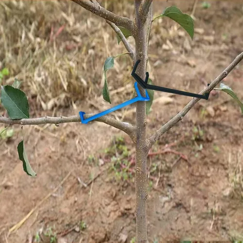 Miniatura 3 de Esparcidores de ramas para árboles frutales Esparcidor de ramas de manzano para apoyar nuevas ramas, plástico negro, 15 piezas y azul 15 piezas