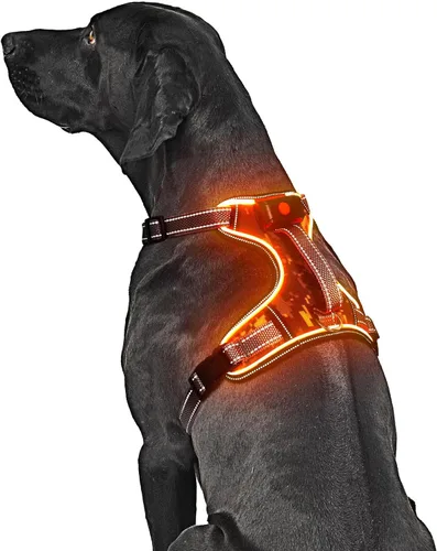 Miniatura 11 de Arnés para perro con luz LED para caminar de forma segura por la noche, chaleco de malla suave que brilla en la oscuridad, chaleco para perros