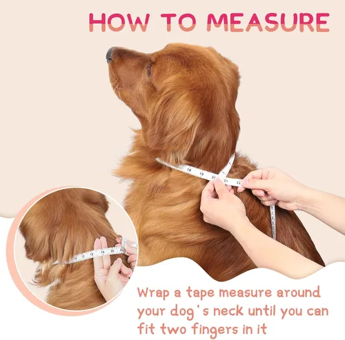 Miniatura 8 de Supet Cono Inflable para Perro para Perros Grandes, Medianos y Pequeños, Collar de Cono Suave para Perros y Gatos, Collar EC para Cuello de Perro
