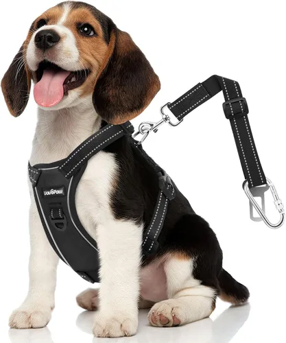 Miniatura 30 de VavoPaw cinturón de seguridad para perro, arnés de coche con peto de seguridad y hebilla ajustable para vehículo, cinturón de seguridad de nailon