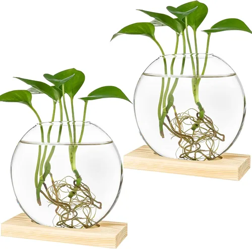 Kingbuy Maceta redonda de vidrio con soporte de madera, florero de propagación para plantas hidropónicas, plantas de araña, potos en decoración de