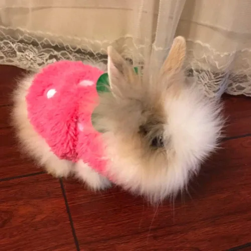 Miniatura 4 de ANIAC Ropa de conejo para conejos, chaleco cálido de gatito, camisa de forro polar XXXS para perro, camiseta acogedora para conejillo de indias