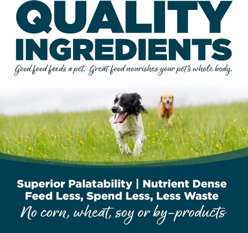 Miniatura 4 de NutriSource Alimento seco para perros adultos, bocados pequeños, pollo y arroz, 12 libras