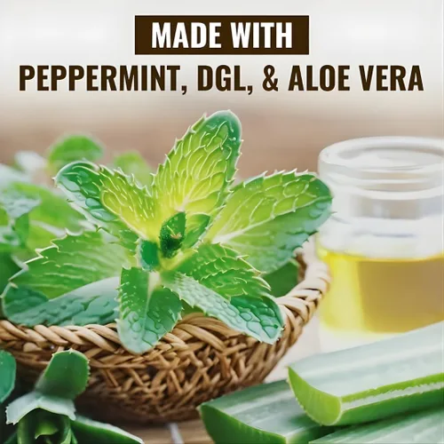 Miniatura 5 de Vitamatic Barra de olmo resbaladizo de 500 mg con menta 100 mg, DGL 100 mg y aloe vera 100 mg – Vegano, sin OMG – 180 cápsulas – Paquete de 2
