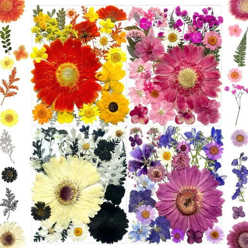 Miniatura 7 de MIKIYA 90 piezas de flores secas prensadas de otoño para resina, hojas florales secas de color naranja natural a granel para manualidades, moldes