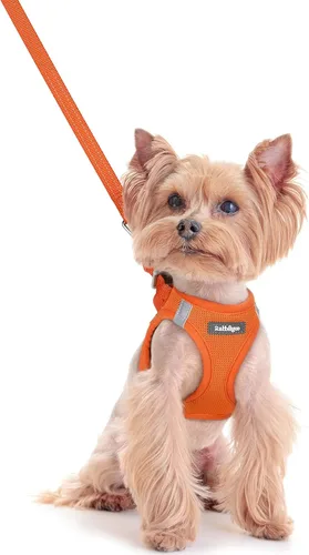 Miniatura 47 de rabbitgoo Juego de arnés para perro de tamaño pequeño y correa, chaleco ligero suave para cachorro, arnés de malla transpirable para mascotas