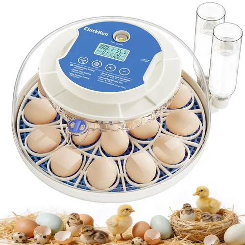 18 incubadoras de huevos para incubar huevos, exhibición de día de incubación, 2 bandejas de huevos, giro automático de huevos, vela de huevo