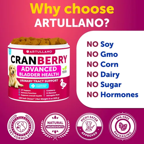 Miniatura 5 de Dog UT Treats - Bocadillos masticables de arándano para perros - Suplemento de apoyo para el tracto urinario y la vejiga con extracto natural