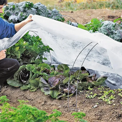 Miniatura 4 de Cubiertas para plantas, protección contra la congelación, cubierta antiescarcha, 7 x 10 pies, reutilizable, rectangular, protección contra heladas