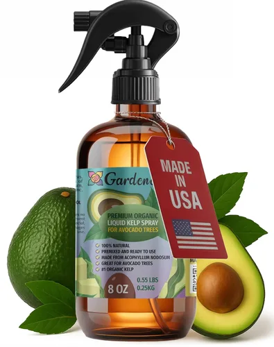 Miniatura 36 de GARDENERA Spray orgánico profesional de algas marinas para plantas AGLAONEMA – 8 oz – Rocío fertilizante de algas marinas y algas marinas totalmente