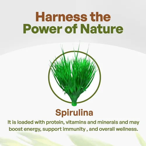 Miniatura 3 de Go Nutra Spirulina en polvo orgánico Superalimentos puros sin OMG para antioxidantes, minerales, ácidos grasos, fibra y proteínas, apto