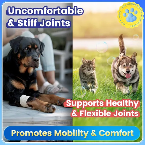Miniatura 3 de Glucosamina para perros, suplemento de cadera y articulaciones para perros y gatos, glucosamina condroitina para perros apoya la salud