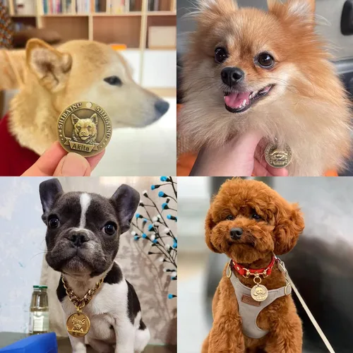 Miniatura 2 de Etiqueta de perro retro de cobre puro tridimensional con estampado de mascotas en relieve, etiquetas personalizadas para mascotas, etiquetas