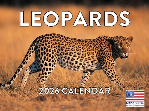 Miniatura 14 de Calendario alpaca 2026, calendario mensual de pared de 12 meses Hecho en Estados Unidos.