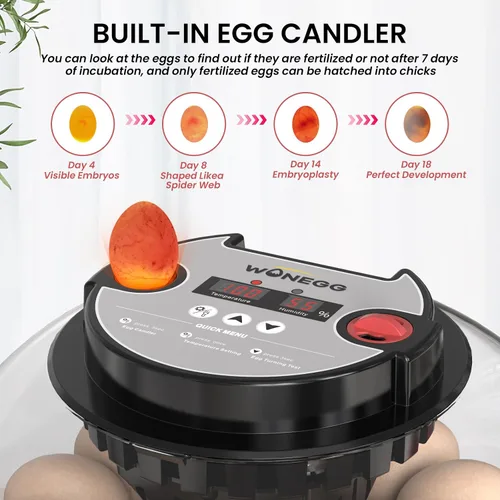 Miniatura 4 de Incubadora de 12 huevos para incubar huevos de pollo, codorniz/pato, giro automático, control digital de humedad/temperatura, vela LED, recarga Onyx