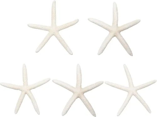 Jangostor Conchas marinas coloridas naturales de 4 a 6 pulgadas, perfectas para decoración de bodas, fiestas temáticas de playa, decoración del