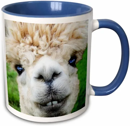Miniatura 12 de 3dRose Alpaca. Lama. South America. White. 11oz Two-Tone Black Mug