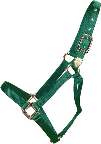 Miniatura 11 de Hamilton Caballo de nailon de 1 pulgada, tamaño pequeño (500-800 libras), azul baya