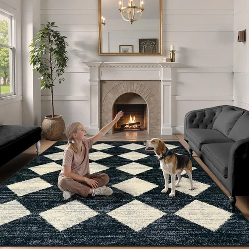 Miniatura 7 de Lahome Alfombras de Área Lavables a Máquina para Dormitorio Estético, Alfombra de Área Suave 4x6 pies para Sala de Estar Antideslizante, Alfombras