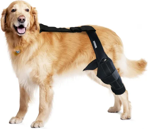Rodillera para perros para patas traseras y traseras, soporte de pierna canina para lesiones de ligamento cruzado anterior, CCL y ligamento cruzado,