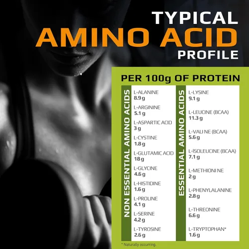 Miniatura 7 de MFL Muscle Whey Protein l 0.99 oz de proteína l 0.28 oz BCAA l Keto Friendly l Keto l Bajo en carbohidratos l 5 libras (Chocolate Lava)