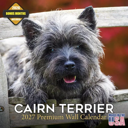 Miniatura 131 de Calendario 2025 2026 de cachorros Cocker Spaniel - Calendario mensual de pared de raza de perro - 12" x 24" abierto - Papel grueso sin sangrado