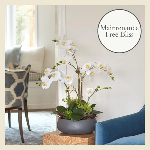 Miniatura 6 de CG Hunter Planta de orquídea sintética con suculentas, soporte de exhibición de flores artificiales de alta calidad para interiores de 23 pulgadas