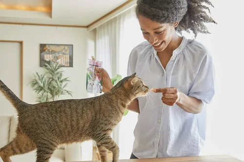 Miniatura 3 de INABA USA504 Ciao - Golosina para gatos a la parrilla con vitamina E añadida, talla única/0.5 onzas
