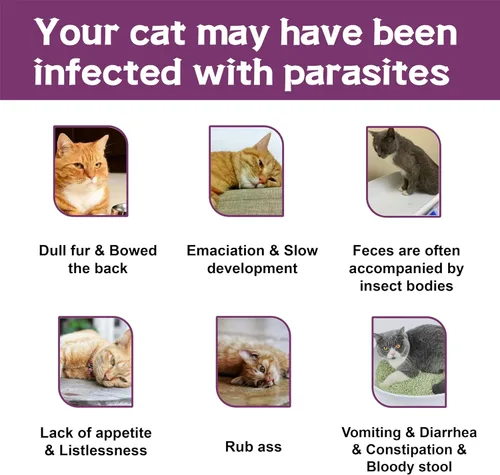 Miniatura 6 de Prevención de pulgas y garrapatas para gatos, tratamiento de pulgas y garrapatas para gatos gatitos, control de pulgas y garrapatas, más de 1.5