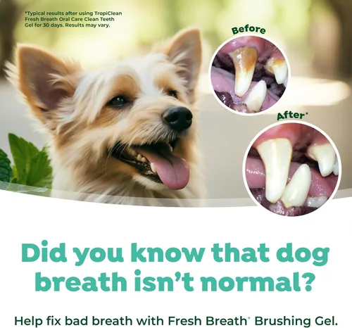 Miniatura 5 de TropiClean Gel de Limpieza Oral para Perros y Gatos Pasta de Dientes para Perros Gel Dental para Mascotas Uso con Cepillo de Dientes