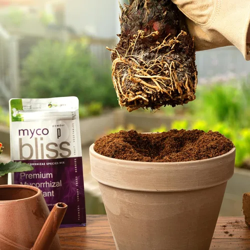 Miniatura 7 de Myco Bliss mezcla de hongos micorrícicos orgánicos (5 especies de endomicorrizas) para plantas