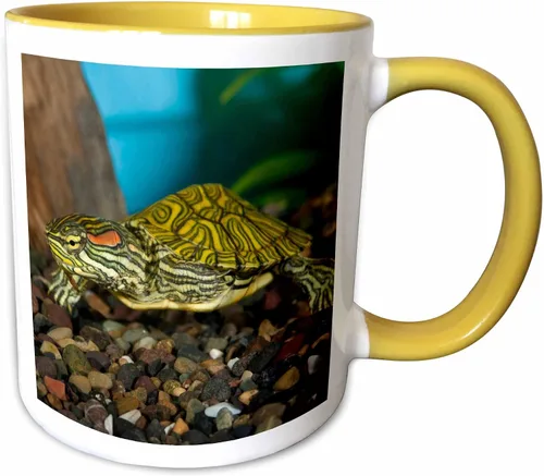 Miniatura 9 de 3dRose NA02 DNO0772 - David Northcott - Tazas (mug_84061_9)