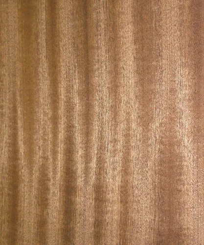 Miniatura 4 de Cinta Sapele Chapa de madera de caoba 12" x 12" con respaldo fenólico 1/20" HPL