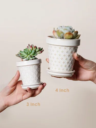 Miniatura 6 de LE TAUCI Macetas de cerámica para suculentas, maceta pequeña de 4 pulgadas para planta de interior cactus, macetas con flores en relieve