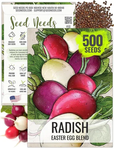 Miniatura 9 de Seed Needs Semillas de rábano para plantar rábanos sandía, reliquia sin OMG y sin tratar, cultiva un huerto cultivado en casa, cultivos para clima