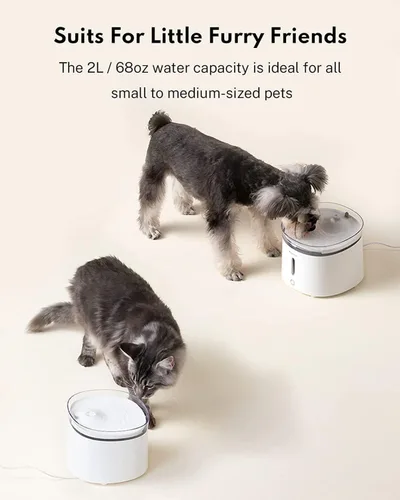 Miniatura 8 de HomeRunPet Fuente de agua silenciosa para gatos, 68 oz/2 L, bomba inalámbrica para fuente para mascotas, dispensador de agua para perros, modo