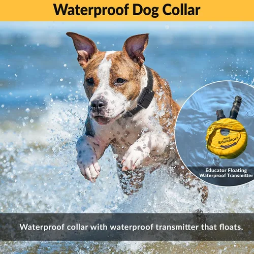 Miniatura 5 de Collar de entrenamiento para perro de Educator E-Collar , Amarillo 1/2 milla impermeable, 100 niveles de estimulación + vibración + luz + sonido