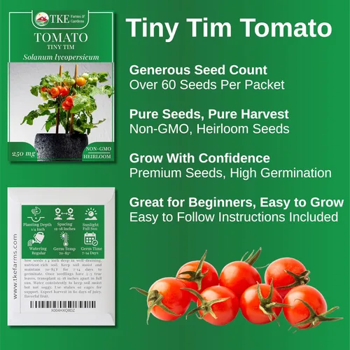 Miniatura 2 de TKE Farms & Gardens - Semillas de tomate Tiny Tim para plantar, más de 60 semillas tradicionales sin OMG, tomates cherry compactos para espacios