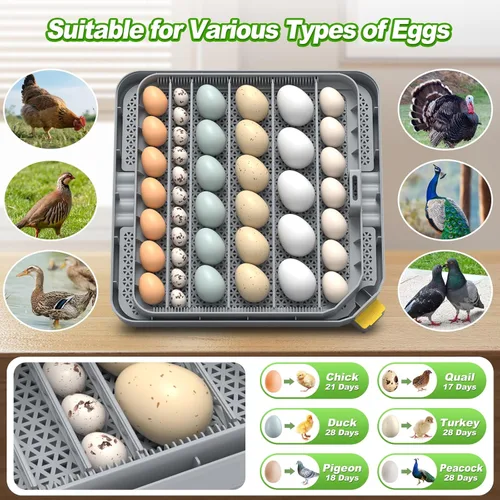 Miniatura 2 de Incubadora de huevos para incubar 48-132 huevos de pollo/codorniz/pavo, incubadoras de aves de corral con giro automático de huevos/control
