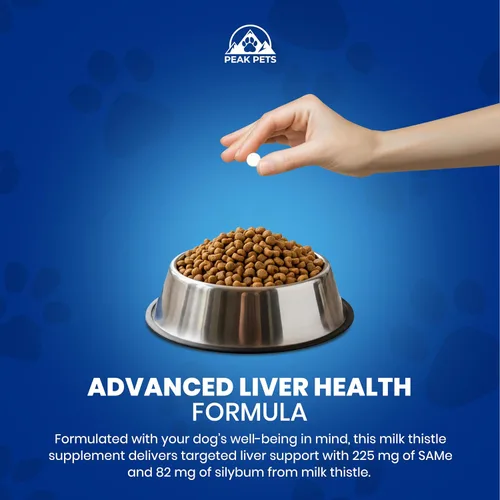 Miniatura 5 de Suplemento de apoyo hepático para perros medianos con silimarina (SAMe y silybina) S-adenosil-L-metionina (SAM-e) y silybum (cardo lechería)