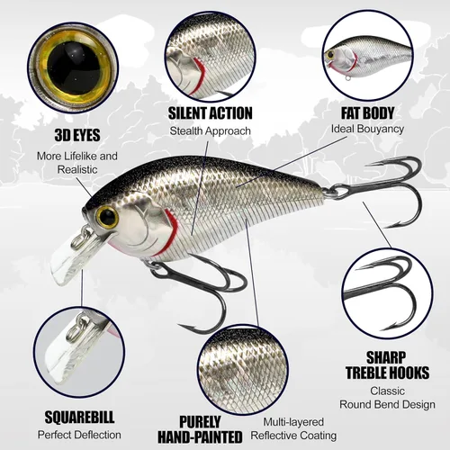 Miniatura 3 de LUCKY CRAFT LC 2.5 Señuelos de Pesca Crankbait Silenciosos, Crankbait Squarebill de 2-3/8", Señuelos para Lubina, Carnada Dura Flotante de Sábalo
