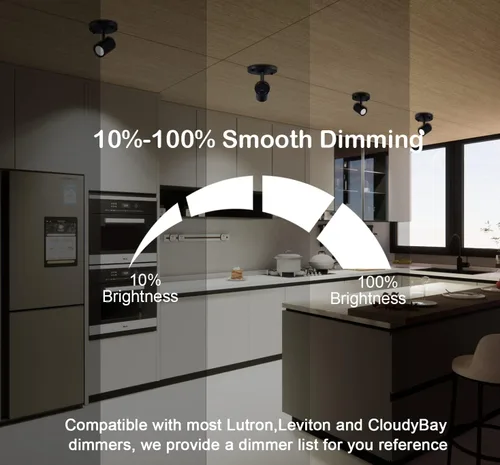 Miniatura 3 de CLOUDY BAY Lámpara de techo LED de montaje empotrado, CRI90+ 9W 3000K 4000K 5000K seleccionable regulable, cabezal de luz de pista de techo