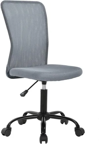 Miniatura 9 de HGS Silla de trabajo ergonómica sin brazos, silla de escritorio para computadora de oficina, silla de oficina en casa con soporte lumbar, silla