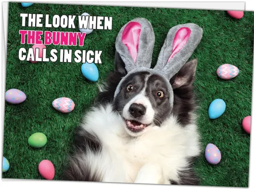 Miniatura 4 de Glory To Dog The Look When The Bunny Calls in Sick Divertida tarjeta de Pascua con sobre de correo de tarjeta de felicitación