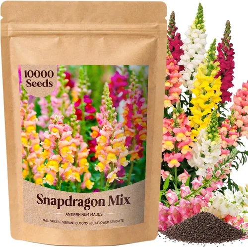 Paquete a granel de más de 10000 semillas de Snapdragon, semillas de flores de dragón mixtas de 5 colores para plantar, semillas de Antirrhinum