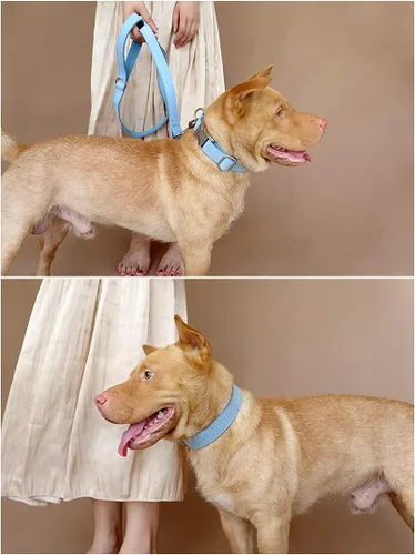Miniatura 5 de Collares de perro personalizados con identificador de nombre grabado personalizado para mascotas para razas pequeñas medianas grandes (XS, azul)
