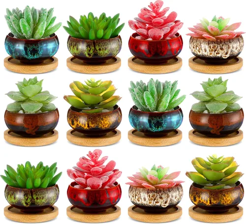 12 macetas de cerámica para suculentas de 2.5 pulgadas, macetas de jardín con drenaje y bandeja de bambú para plantas de jardín de interior, macetas