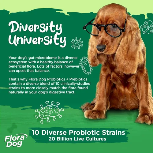 Miniatura 3 de Vital Planet - Suplemento probiótico en polvo para perros Flora con 20 mil millones de cultivos y 10 cepas, probióticos de apoyo inmunológico